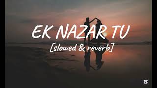 EK NAZAR TU slowed amp reverb [upl. by Sanderson]