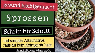 Rohkost einfach erklärt  Wie kann man Sprossen selber ziehen  Anleitung mit und ohne Keimgerät [upl. by Goldberg]