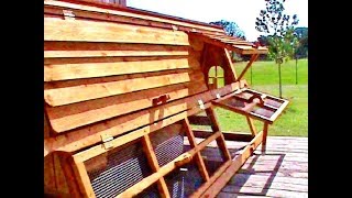 Good for 1012 Chickens  5 Tall Texas Made Chicken Coop with Cedar Roof [upl. by Bergh]