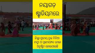 ନୟାଗଡ଼ ଷ୍ଟାଡିୟମରେ ଜିଲ୍ଲା ସ୍ତରୀୟ ମସ୍ଚ୍ୟ ଓ ପ୍ରାଣୀସମ୍ପଦ ମେଳା  nayagarh re maschhya o prani sampad mela [upl. by Dynah]