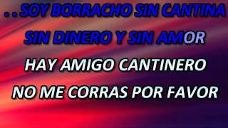 BORRRACHO SIN CANTINA VICENTE FERNANDEZ KARAOKE SAUL NAVA [upl. by Niggem]