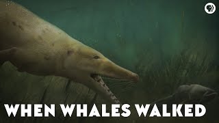 When Whales Walked [upl. by Cilka115]