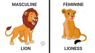 Learn Genders in English with picturesLearn masculine Feminine Gender [upl. by Roby]