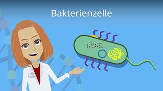 Bakterienzelle  Aufbau amp Funktion einfach erklärt  Studyflix [upl. by Merfe]