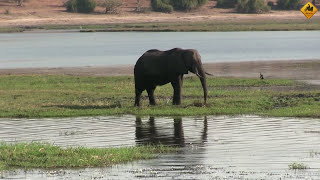 VISITO EL Parque Nacional de Chobe EN BOTSUANA  S6E15 VUELTA AL MUNDO EN MOTO CON CHARLY SINEWAN [upl. by Eenoj532]