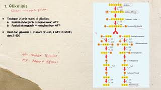 Metabolisme Bagian 2  Katabolisme  Materi Biologi Kelas 12 [upl. by Lina452]