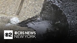 Contractor mistakenly paves over Hoboken storm drains ahead of heavy rain [upl. by Flann278]