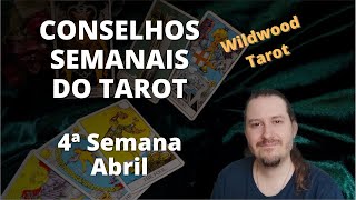 Inspiração Criativa com o Wildwood Tarot nesta semana [upl. by Eneladgam699]