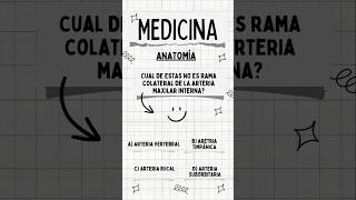 Cuál de estas NO es RAMA COLATERAL de la MAXILAR INTERNA anatomiafacil anatomia quiz anatomiah [upl. by Tnecillim]