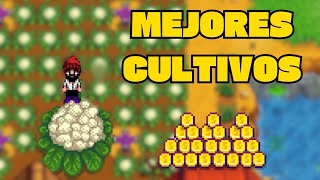 ¡LOS CULTIVOS más RENTABLES en Stardew Valley por estación 💸🤑¿Cómo sacarles el máximo provecho [upl. by Lemart]