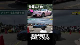 【中部ミーティング2024】世界に1台だけのロードスターを見にいこう その6 愛車紹介 ndロードスター ＃オールペン [upl. by Ellegna926]