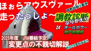 【調教診断振り返り オールカマー・神戸新聞杯】調教診断は好結果☆来年の予定も付録にしておきます♪ [upl. by Matthaeus]