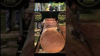 Forestwest 32inch Sawmill Testing with Australia Red Gum forestwest sawmill woodmilling [upl. by Binetta]