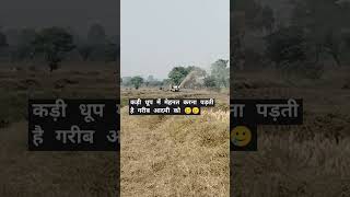 कड़ी धूप में मेहनत करना पड़ती है गरीब आदमी को 🥲🥲झर [upl. by Llimaj]