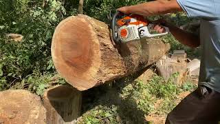 Stihl MS 271 Farm Boss [upl. by Nibor]