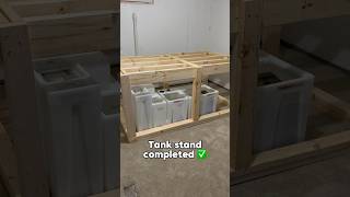 Building My Big Plywood Aquarium Part One [upl. by Ajup]