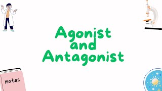 Agonists and Antagonist [upl. by Suoivatnom728]