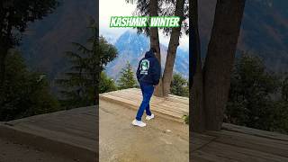 Kashmir winter youtubeshorts neelamvalleyazadkashmirinwinter [upl. by Aihsyt]