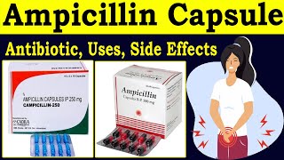 Ampicillin capsules lp 500mg 250mg  Antibiotics Uses Dose Side Effects pharmacology [upl. by Doley529]