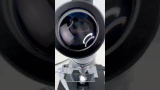 Natto mucus magnified 400 times is surprisingshorts fyp science microscope shortsvideo [upl. by Lough790]