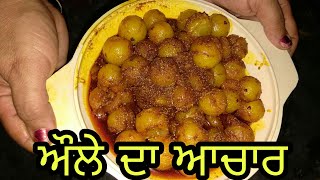 Amle Da Acharਅੌਲੇ ਦਾ ਅਚਾਰ Amla pickle Recipe by Mix Punjabi pk [upl. by Htebarual769]