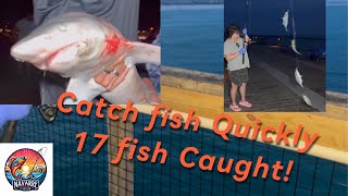 Navarre Beach Pier Night Fishing17 Fish CaughtBlack Tip Shark Ocean Cat Fishing [upl. by Daveen]