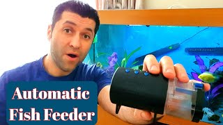 HOW I FEED MY FISH ON HOLIDAY  Automatic Fish Feeder For Tropical Fish Tank Aquarium [upl. by Arbba]