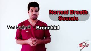 Breath sounds  Lung Sounds  Wheezing  Crackling Rales Stridor Rhonchi clinicaltalks [upl. by Tiduj62]