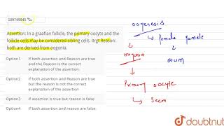 Assertion In a graafian follicle the primary oocyte and the follicle cells m [upl. by Swaine]