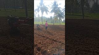 💥village trending viral farming agriculture vivasayam shorts shortsfeed short ytshorts yt [upl. by Rosamund]