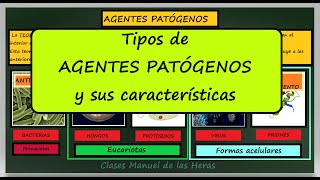 AGENTES PATÓGENOS Bacterias Virus Hongos Protozoos Priones Inmunología Biología Bachillerato [upl. by Ihcelek93]