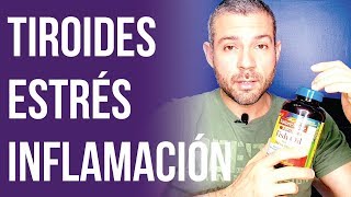 Suplementos Para la Tiroides Inflamación Estrés Salud y Fitness  Cómo Tomar Creatina [upl. by Gabriellia]