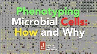 Phenotyping Microbial Cells How and Why by Barry Bochner Biolog Inc [upl. by Kirschner]