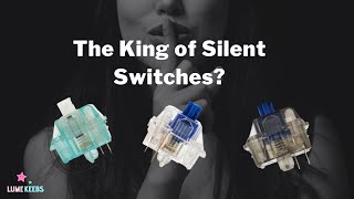 Durock Silent Switches Review  Dolphin Shrimp Daybreak Silent Switches [upl. by Nohtahoj]