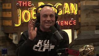 JRE MMA Show 133 with Sean OMalley [upl. by Norrv]