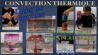 Convection thermique dans les liquides Compilation d’expériences scientifiquesExplicationsTutoriel [upl. by Lilhak]