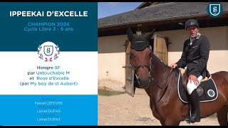 Complet 2024  Interview Champion CL3  IPPEEKAI DEXCELLE [upl. by Ariay]