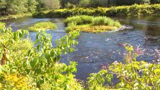 Sheepscot River Canoe Trip Below the Dam to the Bend [upl. by Elmore]