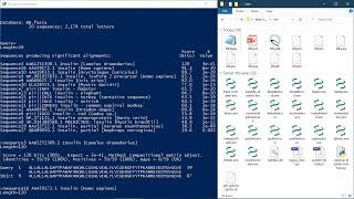 Making Custom Database and Sequence Alignment using NCBI BLAST [upl. by Enyrhtac]