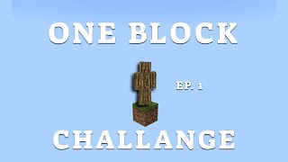 100 Days on ONE BLOCK in Minecraft Hardcore part 1 [upl. by Ahsiyk]