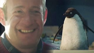 John Lewis Christmas Advert 2014 Parody  RipMonty [upl. by Wainwright]