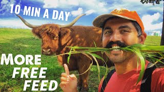 SAVE MONEY AND TIME  ROTATIONAL GRAZING THE EASY WAY [upl. by Mikkel542]