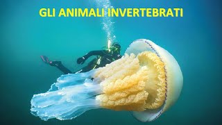 GLI ANIMALI INVERTEBRATI [upl. by Tench]