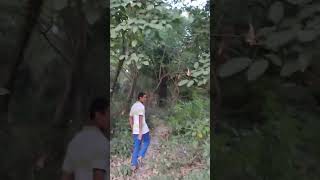 Chlo nadiya ke kinare part 2 trending himachaltourism kangra pongdam dailyvlog villagelife [upl. by Warchaw]