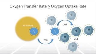 The Impact of Aeration on Cell Culture in Bioreactors Part 1 – Two Minute Tuesday Video [upl. by Wong]