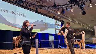 EUROTIER Präsentation Holstein mit Gregor Schaubmaier und Stefanie Zottl [upl. by Haniraz119]