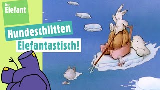 Der kleine Eisbär und das Hundeschlittenrennen amp Rätselfilm Brille Der Elefant  WDR [upl. by Auqined336]