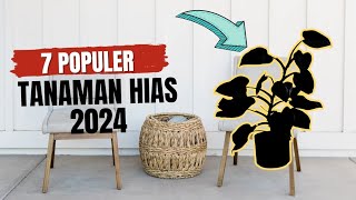 TANAMAN HIAS POPULER 2024‼️ [upl. by Siddon]