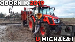 Obornik 2019 u Michała ● Zetor ● Roltrans ● Weidemann ● [upl. by Lladnew]