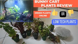 Bunny Cart Plants ReviewBuy or NotLow Tech PlantsNo Co2 No SoilPlanted Tank SetupOnline Plants [upl. by Huoh]